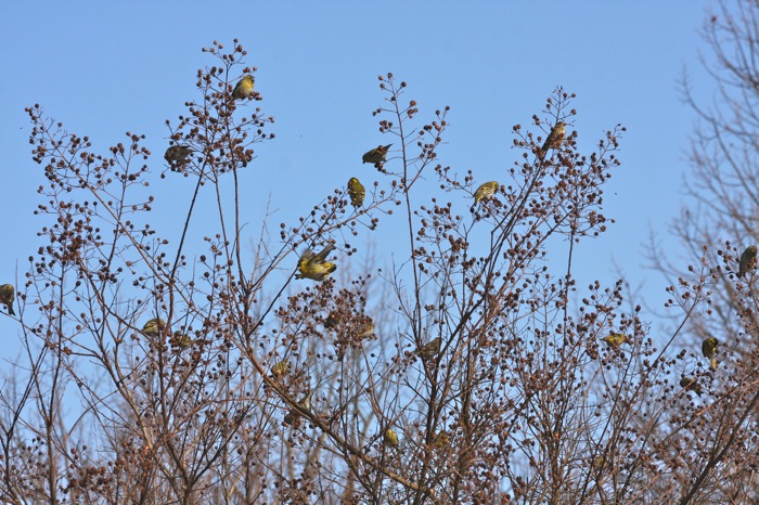 IMG_0843.JPG