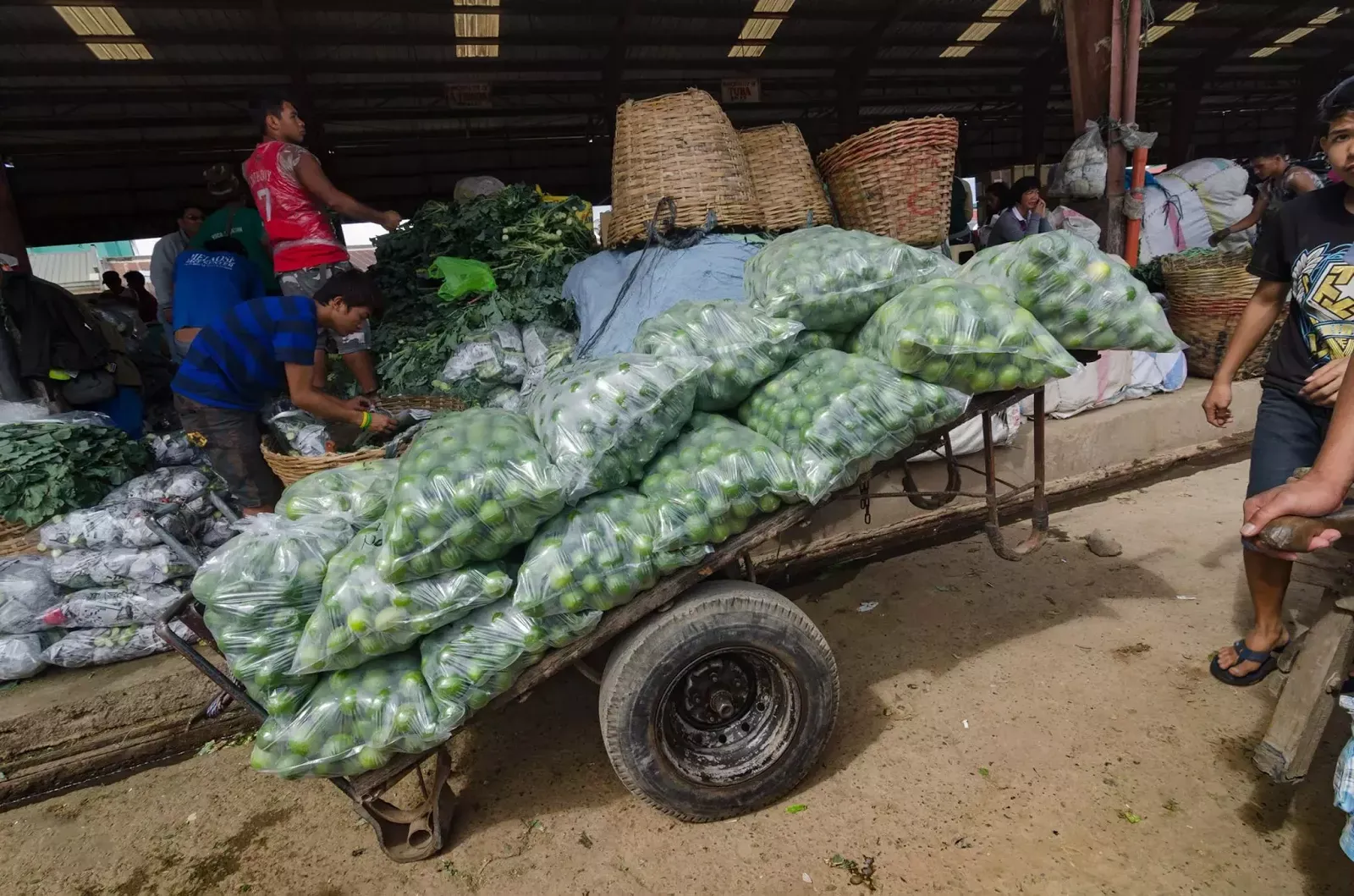 A Modern Porter's Cart Lemon Produce Trading Post La Trinidad Benguet Cordillera Administrative Region Philippines