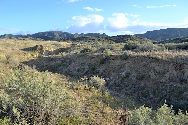 gully in the plain edge