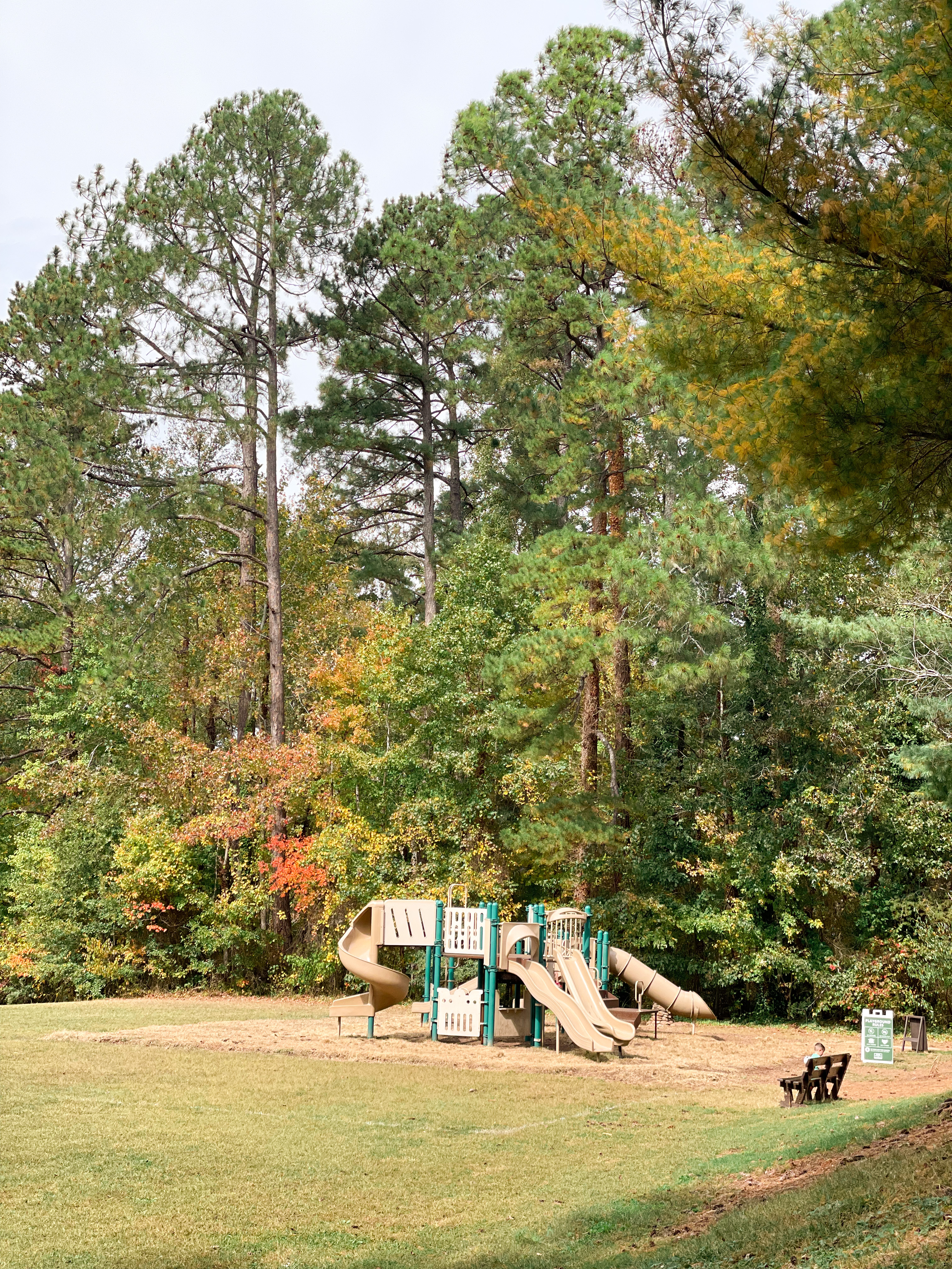 Paris Mountain State Park Playground