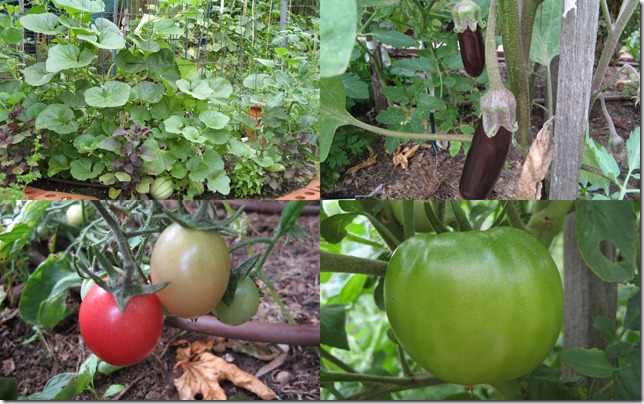 Xmas Garden1