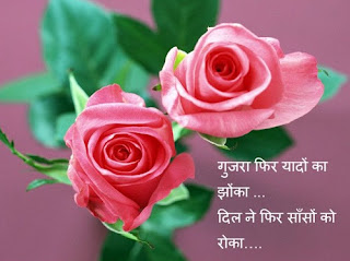 544+ True Love Images in Hindi photos wallpapers with messages