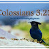 COLOSSIANS 3:23 BIBLE TAGALOG VERSES