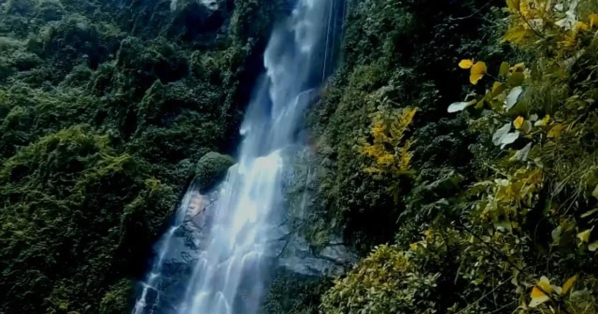 www.npl-nepal.com/hytrung falls view