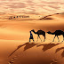 Sahara Desert Africa