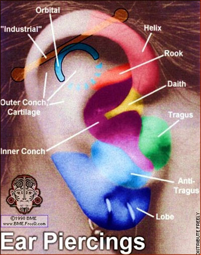 ear piercings pictures. Back in the 60's ear piercing was only just coming into vogue with the teen 