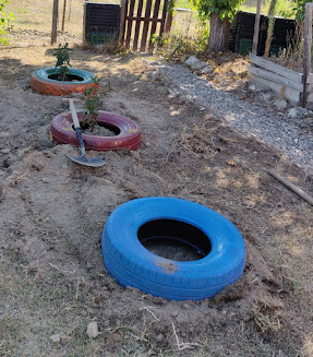 Tyres in the garden