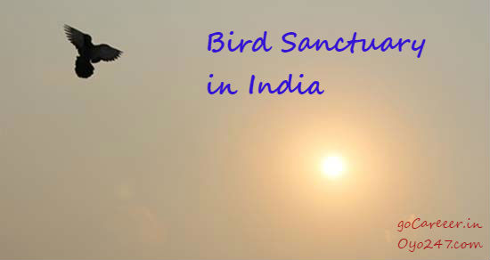 List of Important Bird Sanctuary in India (State wise)