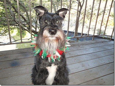 1 Christmas Lucy