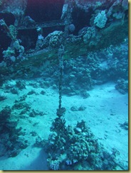 Bow Chain-1