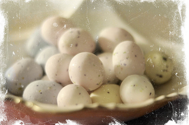 Bird Egg Candy