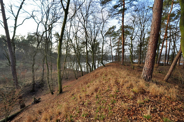 Grünziger Heidemühle/Goruński Młyn - grodzisko wczesnośredniowieczne