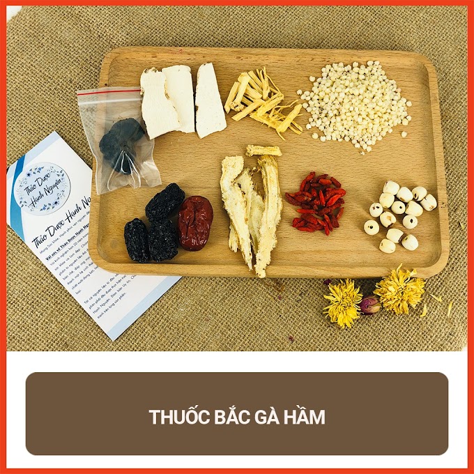 [ thaoduochanhnguyen ] [Mã SKAMCLU9 giảm 10% đơn 100K] Thuốc Bắc Hầm Gà (1 túi đầy đủ)