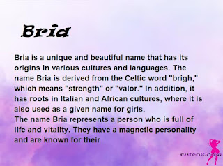 meaning of the name "Bria"