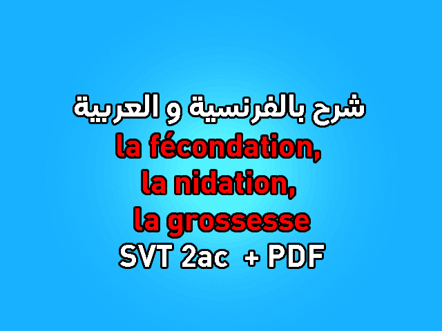 de la fécondation à la nidation 2ac