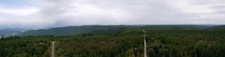 Panorama vom Hohlohturm über das Gebiet am Hohloh