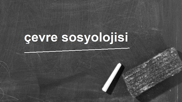 çevre sosyolojisi