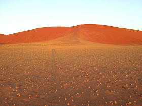 Long shadows against red dunes in Sossusvlei