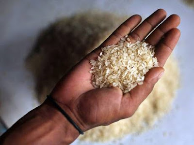 Fake Rice from China