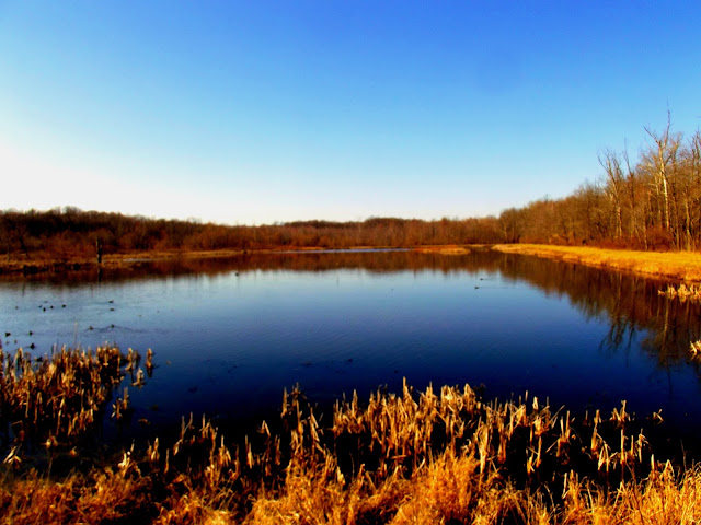 Muscatatuck National Wildlife Refuge - Wetlands