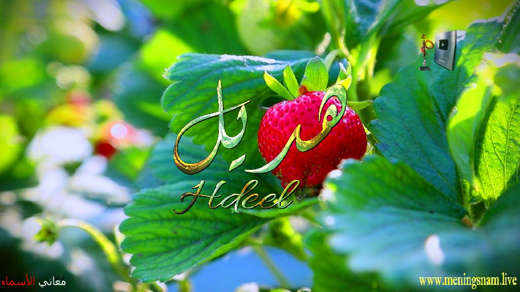 معنى اسم, هديل, وصفات, حاملة, هذا الاسم, Hadeel,