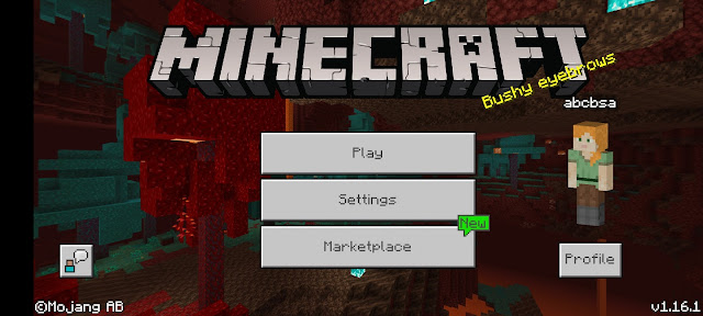 The Rise of Minecraft Bedrock