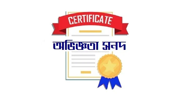 অভিজ্ঞতা সনদপত্র Experience Certificate