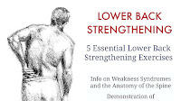 Alternative To Spinal Fusion