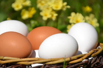 свежие яйца