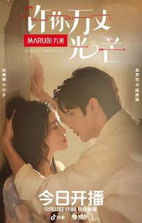 review hidden marriage chinese drama