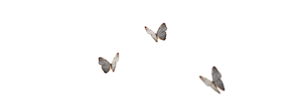 Butter fly png, Instagram viral editing, pranav pg, picsart, picsart background, picsart editing, cb background hd, picsart download, picsart app, bg for picsart, sr