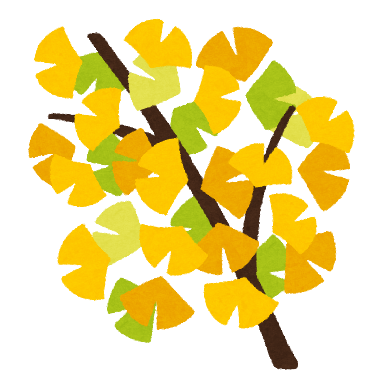 イチョウの枝のイラスト かわいいフリー素材集 いらすとや イチョウの枝のイラスト かわいいフリー素材集 いらすとや