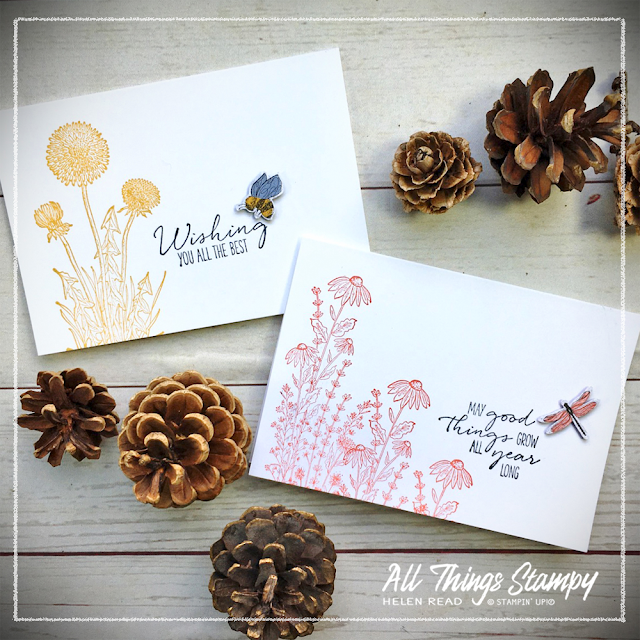 Dandy Dragonfly Garden Wishes Stampin Up