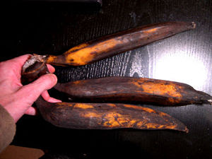 banane plantain