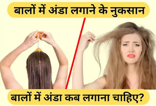 बालों में अंडा लगाने के नुकसान, Balon Me Anda Lagane ke Nuksan Hindi