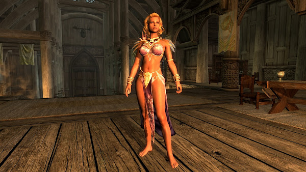 Custom armor for The Elder Scrolls V Skyrim