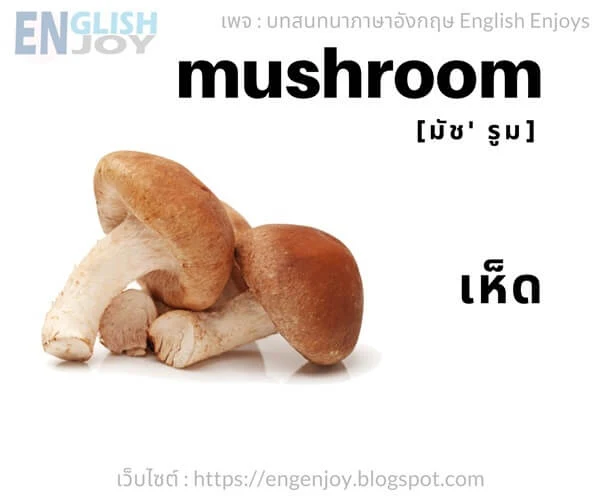 คําศัพท์ภาษาอังกฤษ ผัก - Mushroom (เห็ด)_Vegetables