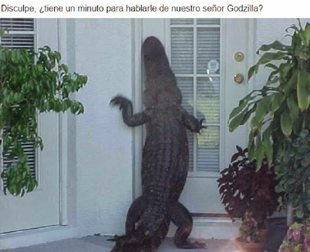 Señor Godzila