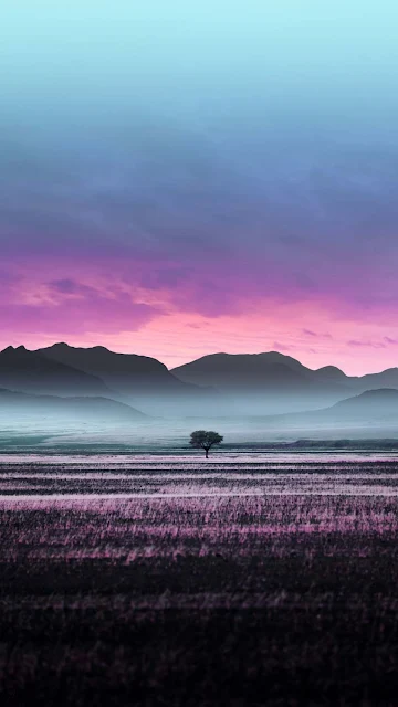 Lonely Tree Field Mobile HD Wallpaper