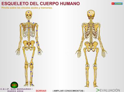 http://www.eltanquematematico.es/cuerpohumano/chumano_p.html