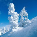 Snow and winter in Canada download free wallpapers for mobile