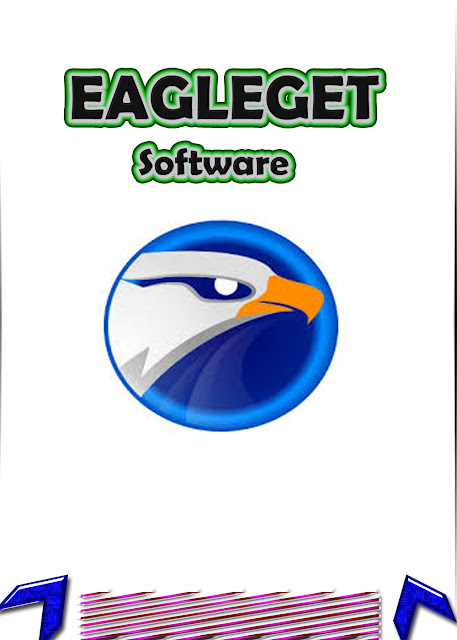 http://www.mediafire.com/download/iwhfcawuh686v1g/eagleget_setup.exe