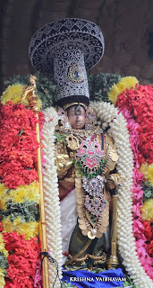 Sri Ranganatha Perumal, Pallava Utsavam, Sri Mannatha Perumal,Thirumanjanam, Purappadu,  Triplicane,  Purappadu, Thiruvallikeni, Utsavam, 
