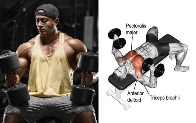 5 Best Lower Chest Exercises for Muscle Mass and Definition