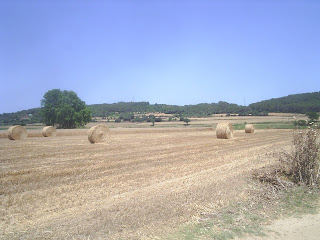 Inici d´estiu en imatges, dels camps a mig segar i el fruit de la terra enbalat