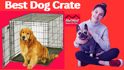 Best Dog Crate
