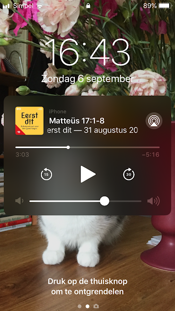 Screenshot van podcast op telefoon.