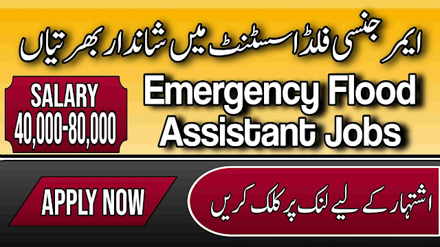 Emergency Flood Assistant Jobs 2023 Advertisement | Today Jobs | Find Jobs 4 Me