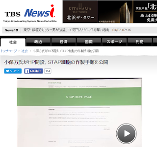  小保方氏がＨＰ開設、ＳＴＡＰ細胞の作製手順を公開
