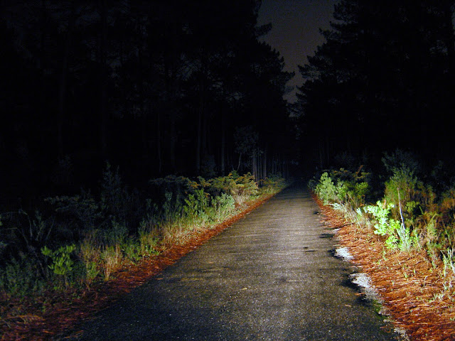 Resultado de imagem para estrada noturna